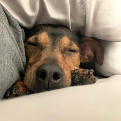 Shawn Robinson avatar image