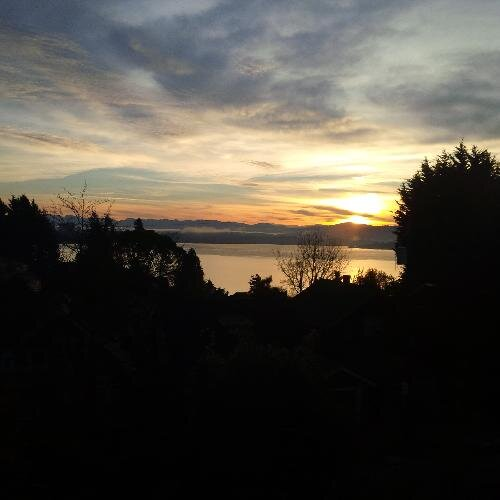 Stacey Monahan avatar image