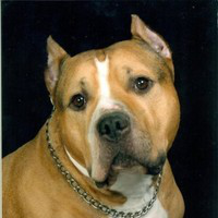 Cindi Turner avatar image