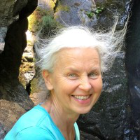 Linda Berkley avatar image