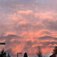 Jason Speicher avatar image