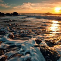 Glorianne Bora avatar image