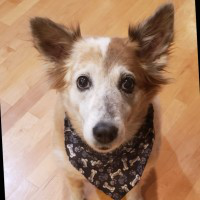 Kasey Gandham avatar image