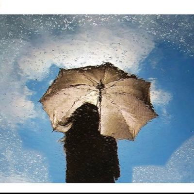 Sydney Rainin-Smith avatar image