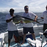 Steve Ellis avatar image