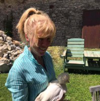 Liz Tomlin avatar image