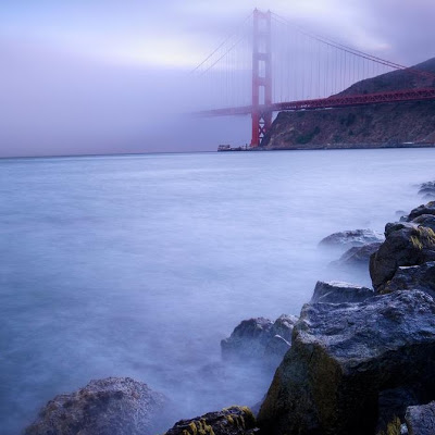 Serena Lee avatar image