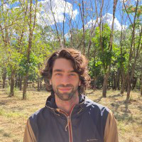 Pedro Ferro avatar image