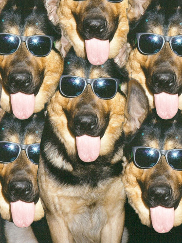 Angad Kingra avatar image