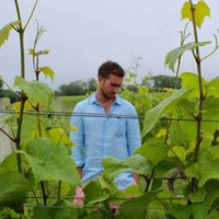 Ian McGuinness avatar image