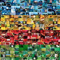 Catherine Clifford avatar image