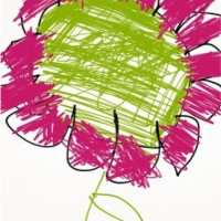 Abeer Alnafjan avatar image