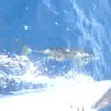 Anthony Mosse avatar image