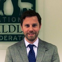 David DeGennaro avatar image