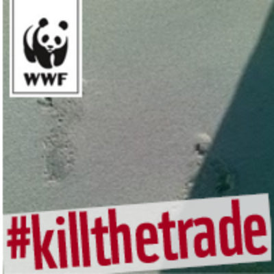 Brenda Kassir avatar image