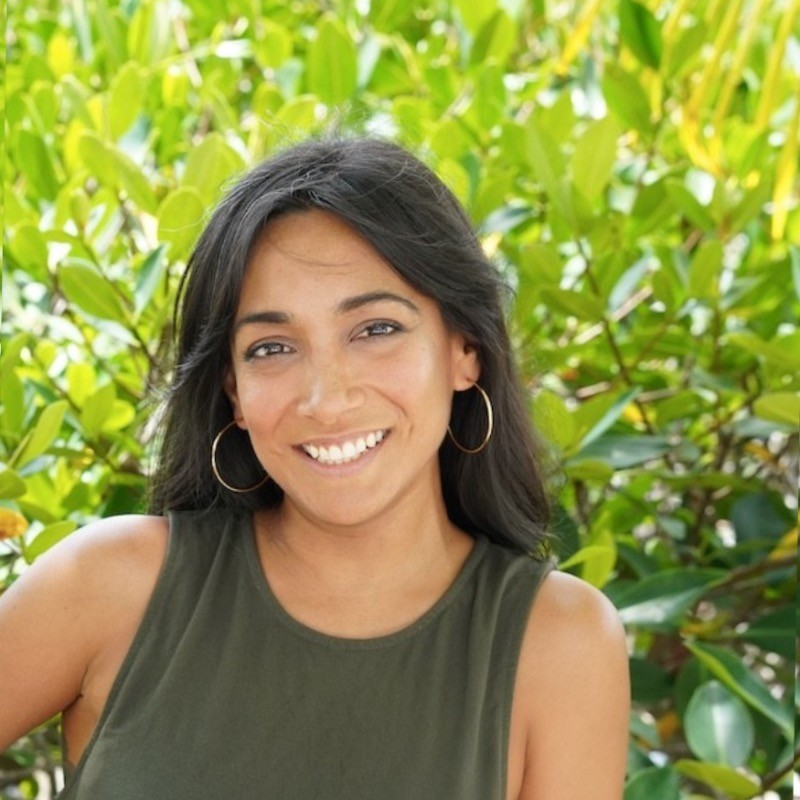 Desiree Tavera avatar image