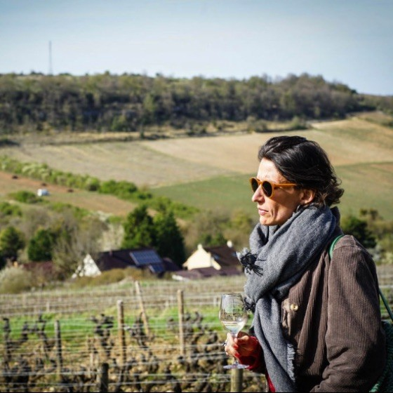 Caterina Brault-Maraini avatar image