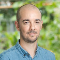 Stephen Frsa avatar image