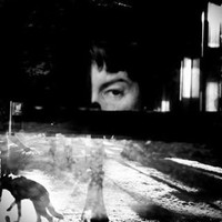 Beth Nakamura avatar image