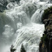 Tricia Simpson avatar image