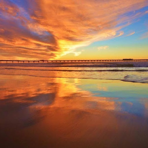 David Cheng avatar image