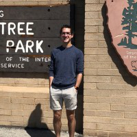 Tom ️ avatar image