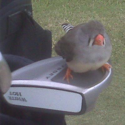 Craig Poole avatar image