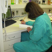 Eloise Whitton avatar image