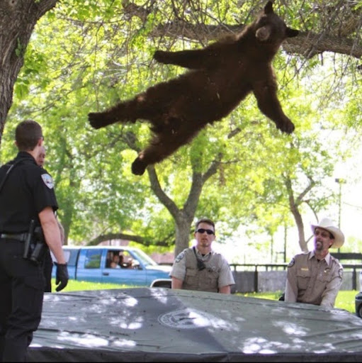 Todd Fernandez avatar image