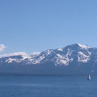 Warren Woo avatar image