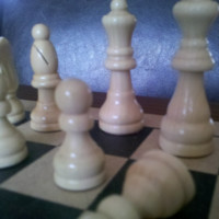 Adam Toback avatar image