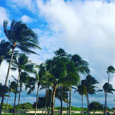 Kat Grigg avatar image