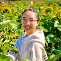 Anne Chen avatar image