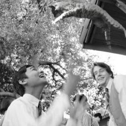 Shine Zaw-Aung avatar image