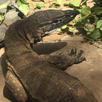 David Ellis avatar image