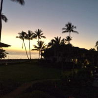 Mary Justice avatar image