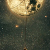 Lisa Li avatar image