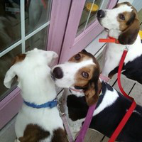 Linda Szymoniak avatar image