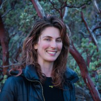 Christina Scavuzzo avatar image