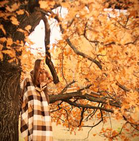 Zachary Stern avatar image