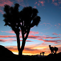 Steve Axthelm avatar image