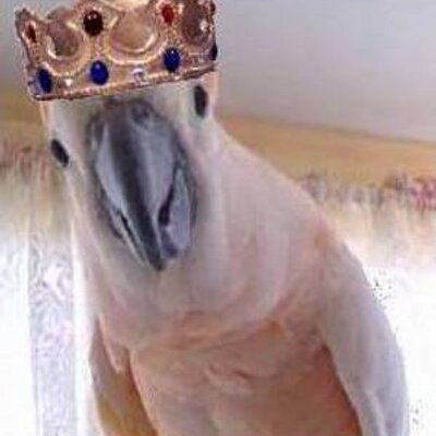 Jay Wisse avatar image