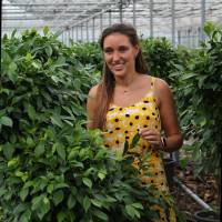 Quirine Peeters avatar image