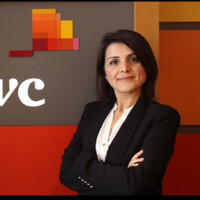 Bilgen Turgut avatar image