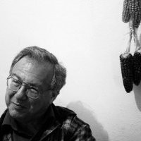 Mickey Morgan avatar image