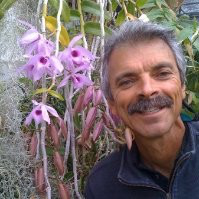 Cris Hamilton avatar image