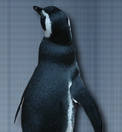 Alexander Klimenkov avatar image