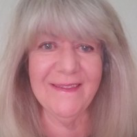 Karen Perlow avatar image