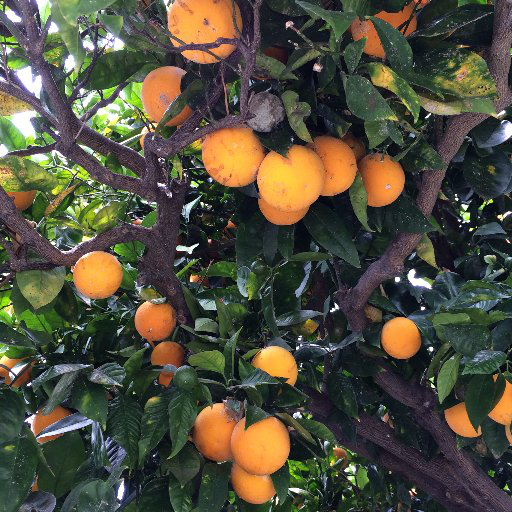 Amy Taxin avatar image