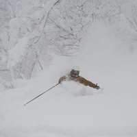 Rob Grieve avatar image